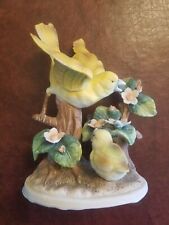 Royal crown canary for sale  Nottingham