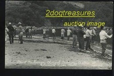 Rppc salmon fishing for sale  Onalaska