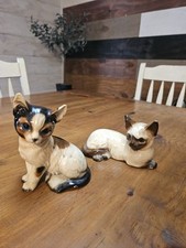 Pair siamese cats for sale  De Witt