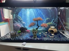 10ft fish tank for sale 10ft fish tank for sale LONDON