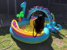 Intex dinoland inflatable for sale  CROYDON