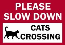Please slow cats for sale  BANBURY