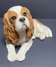 Cavalier king charles for sale  Duluth