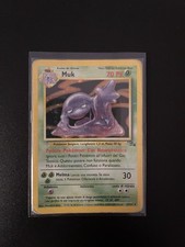 Muk holo fossil usato  Terni