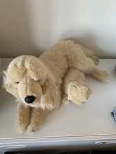 Classic golden retriever for sale  HORSHAM