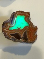 Montana dryhead agate for sale  Marysville