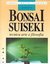 Bonsai suiseki tecnica usato  Italia