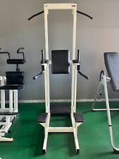Parallele dips professionali usato  Canelli