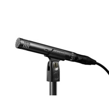 Audio technica at2031 usato  Roccagloriosa