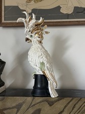 Kay finch cockatoo for sale  Norwich