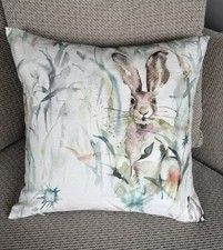 Jack rabbit hare for sale  DUNMOW