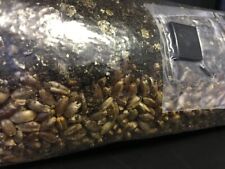 Horse manure rye for sale  LITTLEHAMPTON