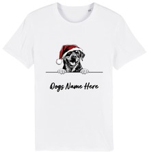 Rottweiler personalised christ for sale Rottweiler personalised christ for sale  PONTYPRIDD