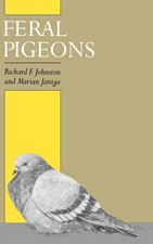 Feral pigeons for sale  Racine