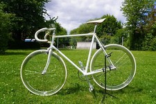 Gazelle race campagnolo gebraucht kaufen  Birkenau