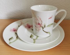 Geschirrset serie jade gebraucht kaufen  Eilenburg