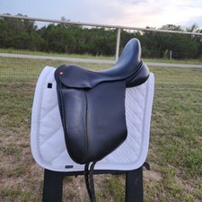 Dresch legolas dressage for sale  Bergheim