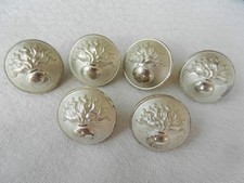 Lot boutons militaires d'occasion  Blâmont
