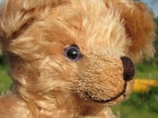 Vintage mohair teddy for sale  International Falls