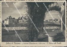 Ba264 cartolina selva usato  Tramonti