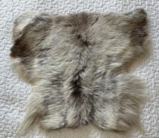 Norwegian grey deer for sale  GLASGOW