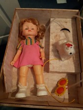 Bradgate penny puppy for sale Bradgate penny puppy for sale  SUTTON COLDFIELD