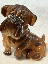 bull dog pup for sale bull dog pup for sale North Royalton