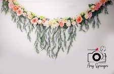 Kate backdrop boho for sale  Glenville