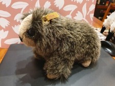 Steiff biber paddy gebraucht kaufen  Köln