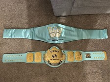Wwe shop light for sale  Williamsport