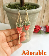 Succulent hanging mini for sale  Richmond Hill
