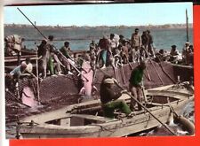 Cartolina favignana acqu usato Cartolina favignana acqu usato  Italia