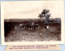 Guinée fouta djalon d'occasion  Pagny-sur-Moselle