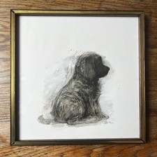 newfoundland puppies for sale newfoundland puppies for sale ELLAND