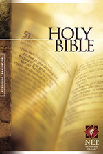 Nlt holy bible for sale  UK