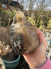 Rare parisite double for sale  CHORLEY