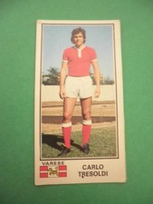 Figurina calciatori panini usato  Castel San Giorgio