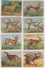 Set break 1909 for sale  Milford