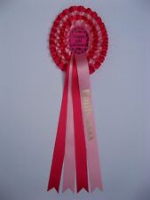 Personalised oval rosette for sale  YELVERTON