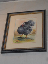Original small turkey for sale  ROSS-ON-WYE