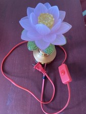 kid light flower for sale kid light flower for sale Chicago