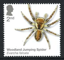 Woodland jumping spider for sale  HORSHAM