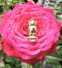 Anhänger 333 gelbgold gebraucht kaufen  Brilon