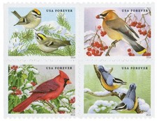 Estampillas de USPS ~ Mini libro de 20 sin usar ~ 2016 "Songbirds in Snow" Scott 5126-5129 segunda mano  Embacar hacia Mexico