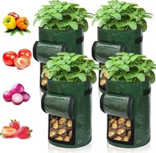 Ram plant grow for sale  BRADFORD