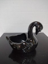 Small black swan for sale Small black swan for sale  Minerva