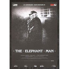 Locandina the elephant usato  Nocera Superiore