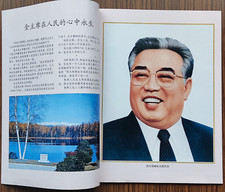 Dprk korea today gebraucht kaufen  Frechen
