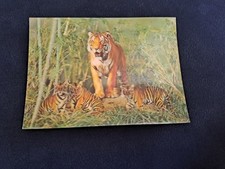 Carte postale lenticulaire d'occasion  Franconville