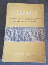 Iliade usato  Vizzola Ticino
